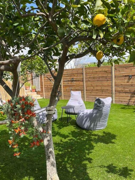 Lemonia With Yard Apartment *