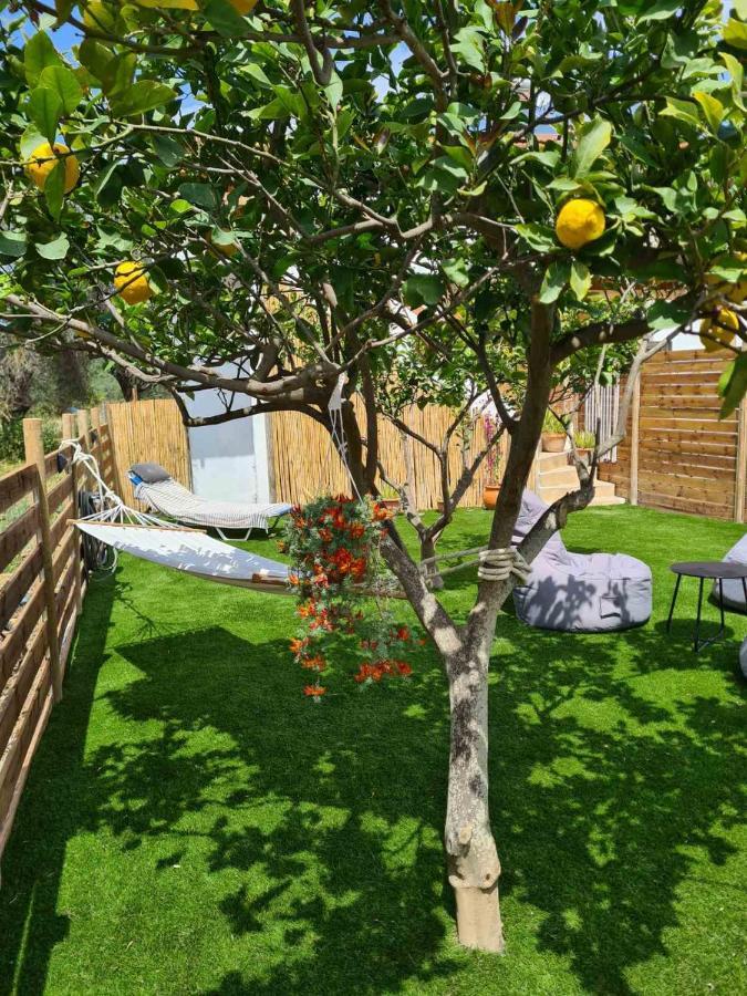 Lemonia With Yard Apartment