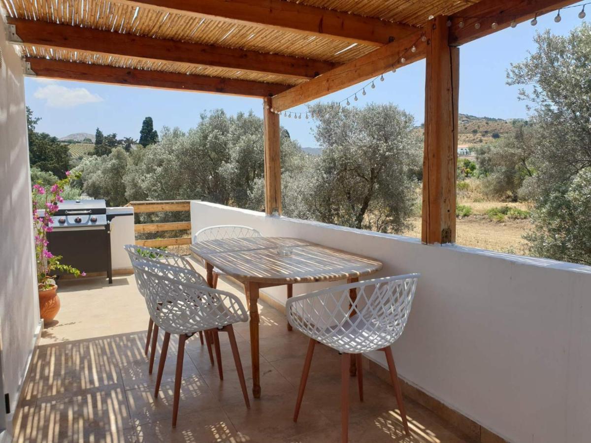 Apartment Lemonia With Yard *