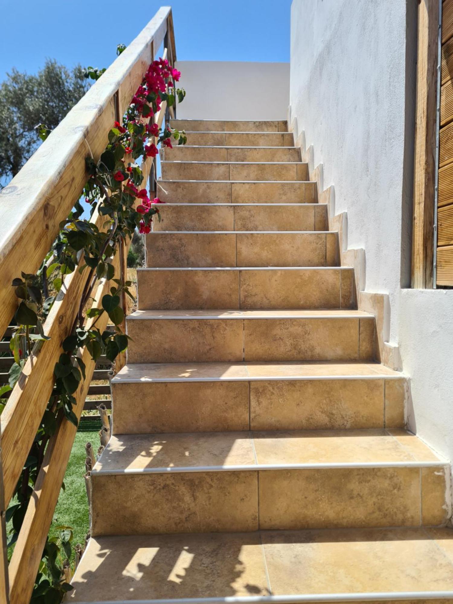 Apartment Lemonia With Yard